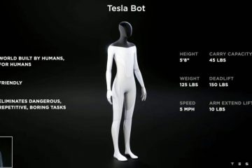 Tesla bot,טסלה בוט