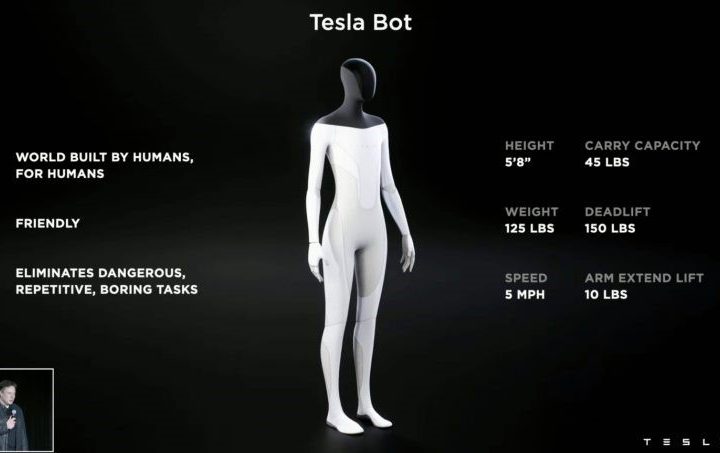 Tesla bot,טסלה בוט